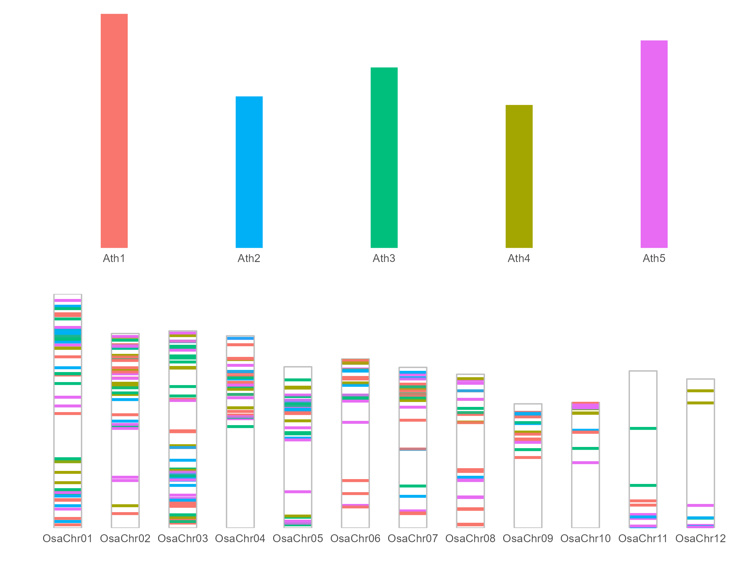 Ath_Osa.bar.plot